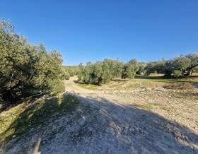 lands for sale in aguilar de la frontera