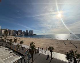 flat sale benidorm 1ª linea by 530,000 eur
