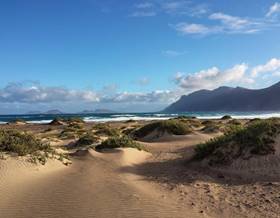 houses for sale in teguise