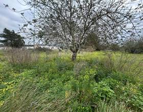 land sale san lorenzo de balafia by 980,000 eur