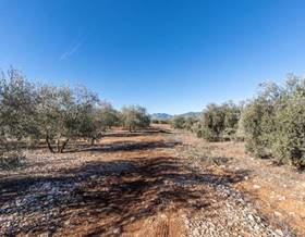 lands for sale in albolote