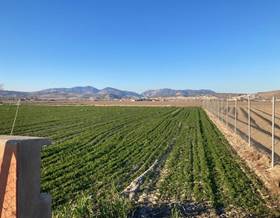 lands for sale in atarfe