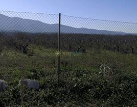 lands for sale in valencia provincia valencia