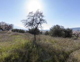 lands for sale in otura