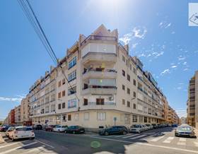 apartments for sale in san miguel de salinas