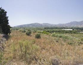lands for sale in salobreña