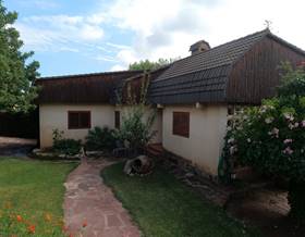houses for rent in olocau