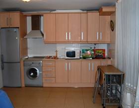 apartments for rent in pechina