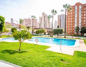 apartments for sale in benidorm