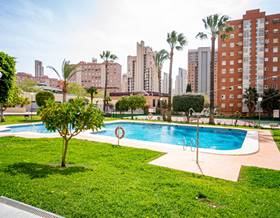apartments for sale in el albir