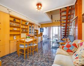 houses for sale in san miguel de salinas