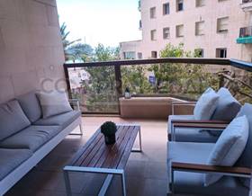 flat rent palma de mallorca centro by 3,500 eur