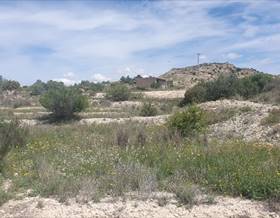 rustic property sale aspe by 55,500 eur