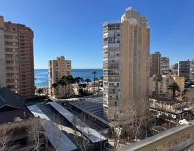 flat sale benidorm avenida del mediterraneo by 379,000 eur