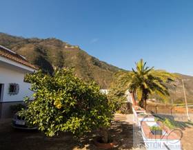 single family house sale los realejos placeres by 255,000 eur