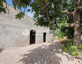 lands for sale in campanet