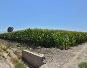 lands for sale in huetor vega