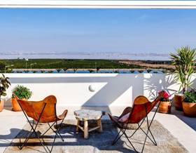 houses for sale in dehesa de campoamor