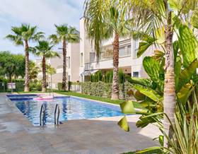 apartments for sale in torrevieja