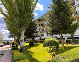 apartments for sale in alpedrete