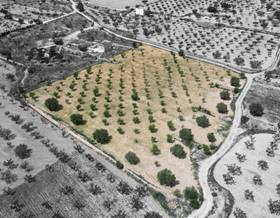 land sale la romana partida la romana by 37,000 eur