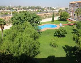 penthouse sale torrevieja centro by 130,000 eur