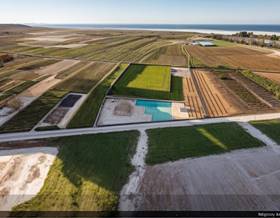 lands for sale in palmera