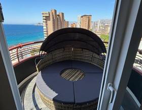 studio sale alicante benidorm by 222,500 eur