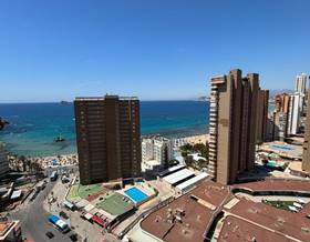 studios for sale in alfaz del pi