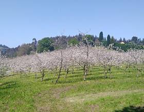 lands for sale in asturias province