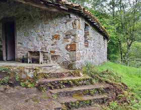 rustic property sale piloña piloña by 39,000 eur