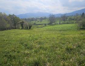 lands for sale in piloña