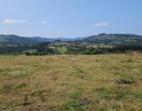 lands for sale in sariego