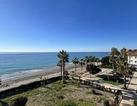 apartments for sale in mezquitilla