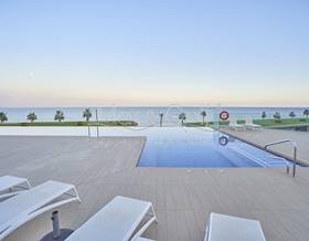 apartments for rent in torrellano