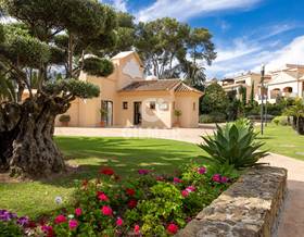 apartments for sale in puerto banus