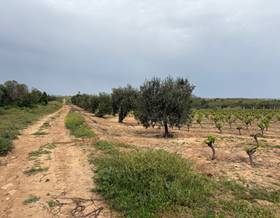 lands for sale in bonares