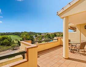 apartments for sale in san miguel de salinas
