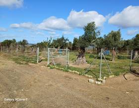 lands for sale in niebla