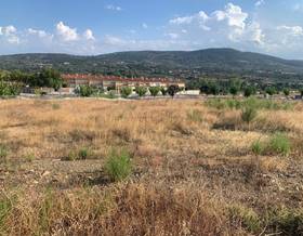 lands for sale in plasencia