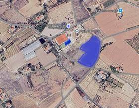 lands for rent in torrellano