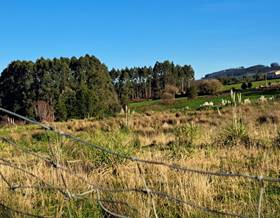 lands for sale in sariego