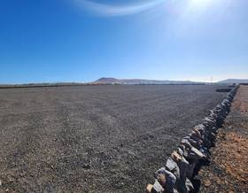 lands for sale in teguise