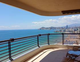 flat sale benidorm 1ª linea by 530,000 eur