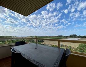 houses for rent in malaga province