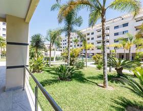 apartments for rent in torre del mar
