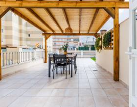 houses for rent in algarrobo