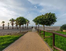apartments for rent in benajarafe