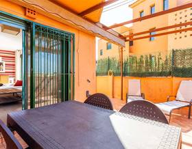 apartments for rent in algarrobo