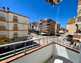 houses for rent in arenas